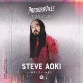 Steve Aoki at Parookaville 2023 (DJ Mix) artwork