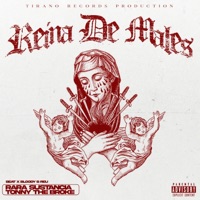 Reina De Males (feat. Rara Sustancia & Bloody B Reu) - Single - Tonny D' Broke