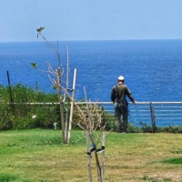 Redemption (feat. Dovid Chesner) - Single - Eli Goldsmith Aka Midnightrabbi