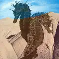 Moonground