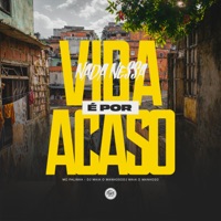Nada Nessa Vida É por Acaso - Single - Mc Palinha