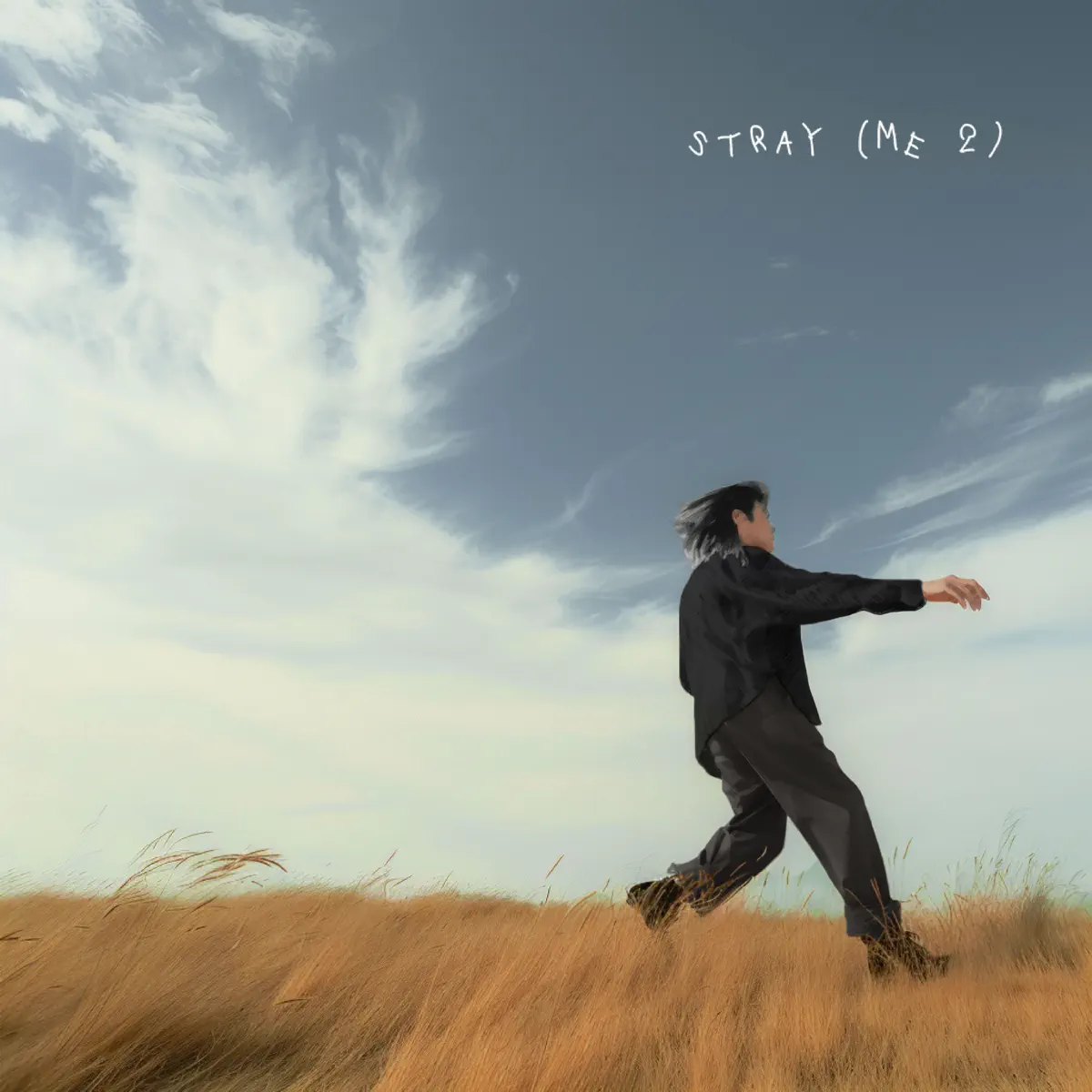 王謙Goatak – 迷途 – Single (2024) [iTunes Plus AAC M4A]-新房子