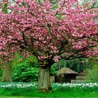 Flashbacks - Single - OsirisTheSunGod