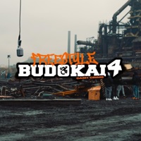 BUDOKAI IV - Single - Cash Crime