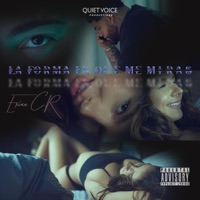 La Forma En Que Me Miras - Single - Erian CR