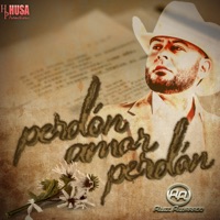 Perdón Amor Perdón - Single - Alex Alvarado
