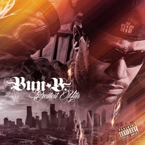 You're Everything (feat. Rick Ross, David Banner & 8Ball & MJG)