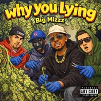 Why You Lying (feat. GM) - Single - Big Mizzz