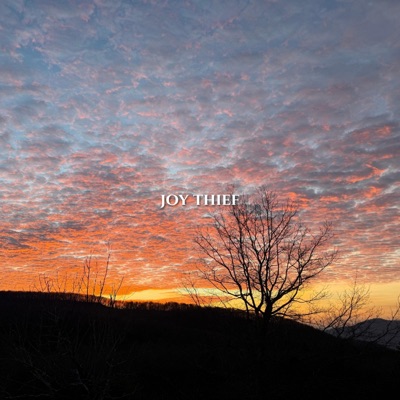 Joy Thief - Single