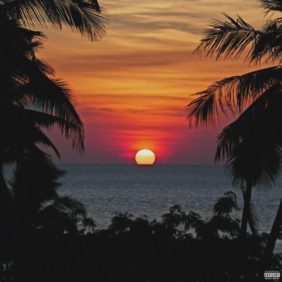 Summer Nights - Single