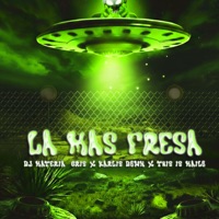 La Más Fresa - Single - Dj Materia Gris, Karlis Down & This Is Mailo