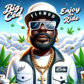 Enjoy the Ride artwork