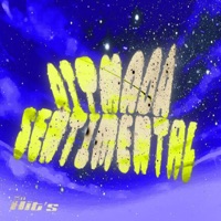 Ritmada Sentimental (feat. Mc Nito) - Single - DJ Vento Original, BRAUAR & MC GW