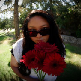 Flags Drea Rose