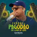 Mete Seu Cachorro