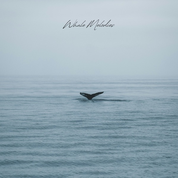 Whale Melodies - Single