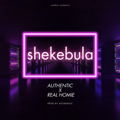 Shekebula (feat. Real homie) - Single
