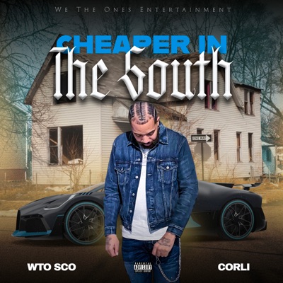 Cheaper In The South - Single