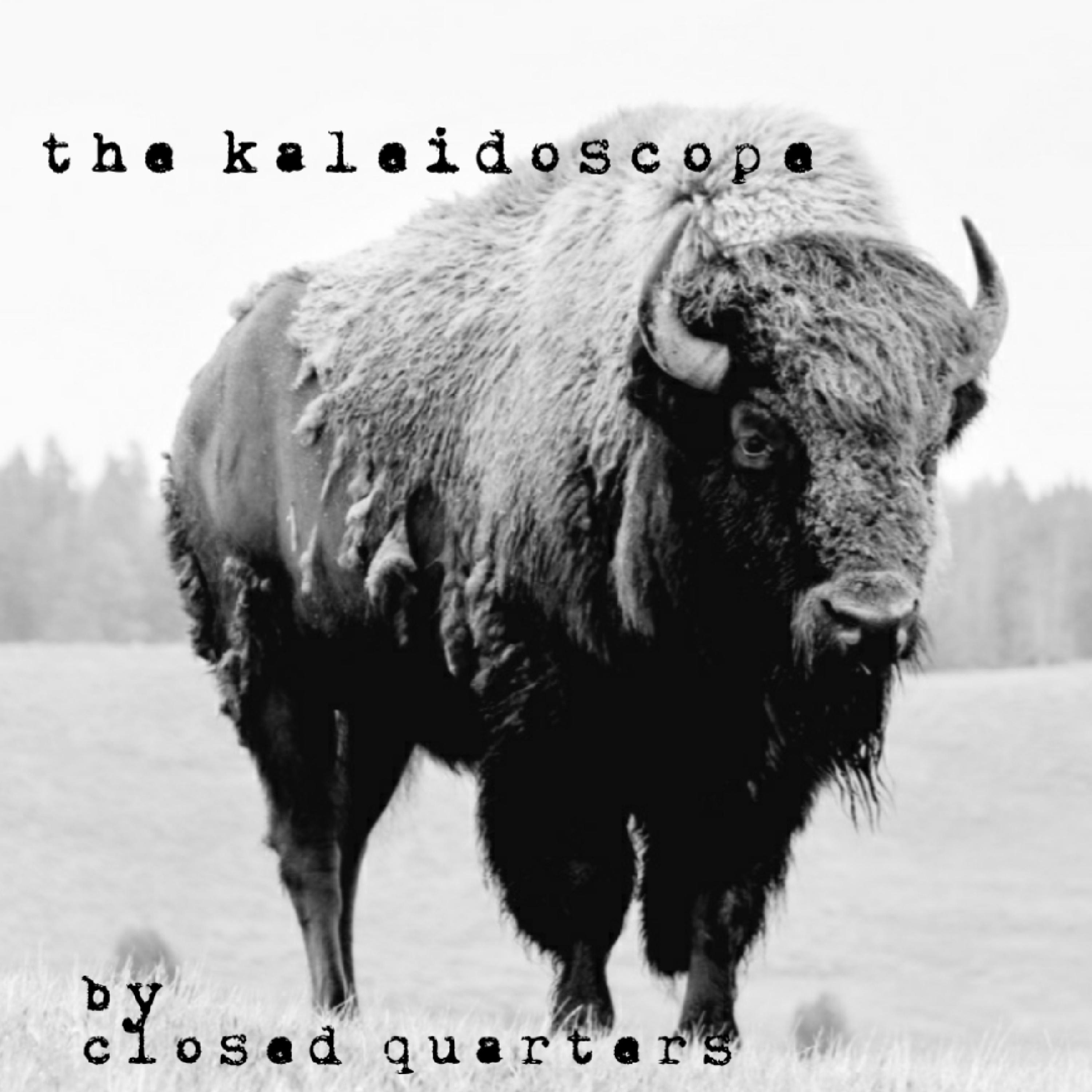 The Kaleidoscope - EP