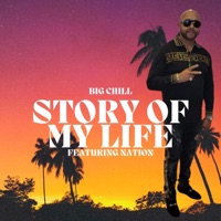 STORY OF MY LIFE (feat. NATION) - Single - Big Chill