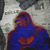 Colle de gorille - Single - M Le Maudit