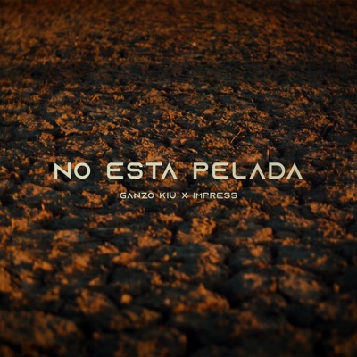 No Está Pelada - Single
