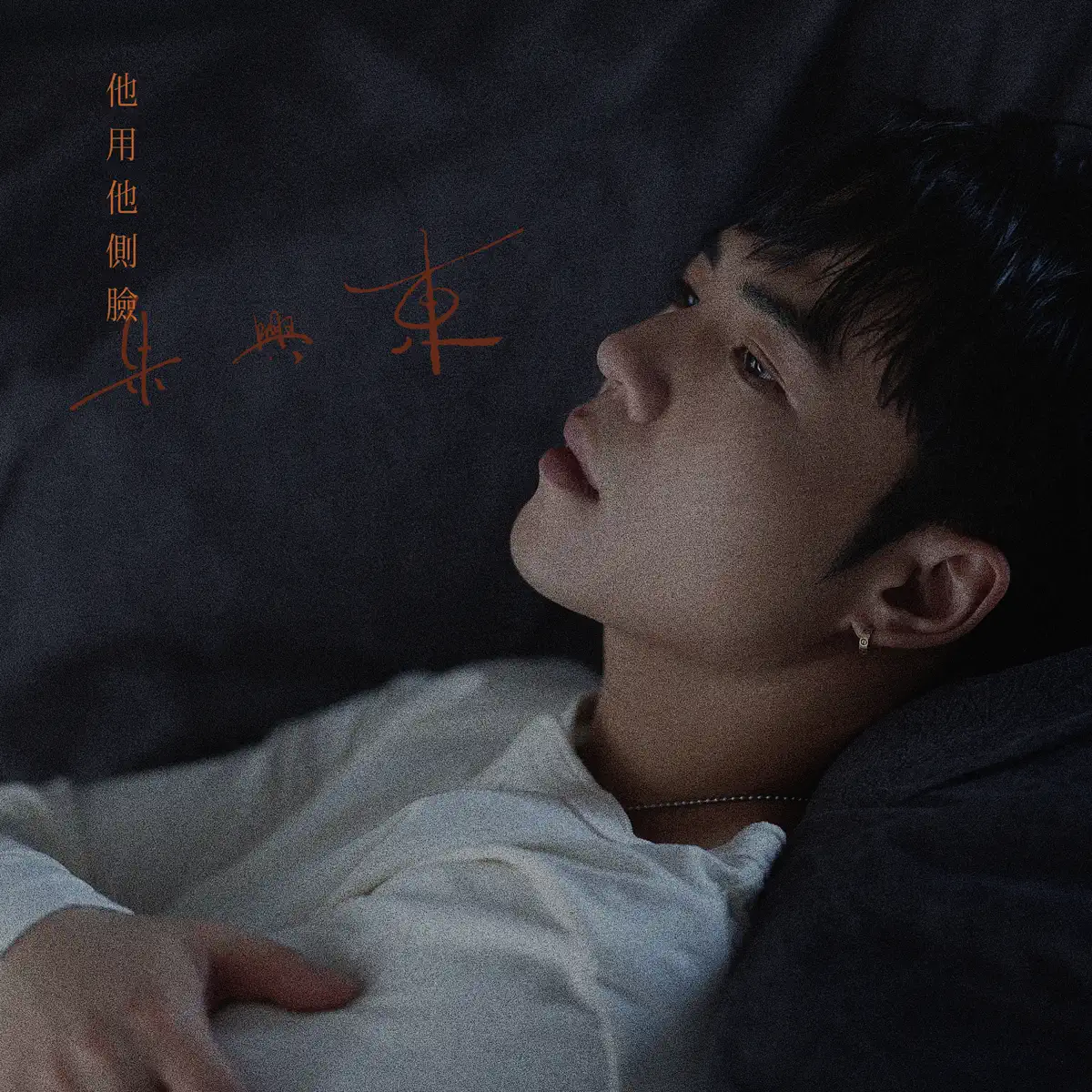 朱興東 - 他用他側臉 - Single (2025) [iTunes Plus AAC M4A]-新房子