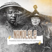 Namolele (feat. Puseletso Seema) artwork