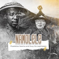 Namolele (feat. Puseletso Seema) - Single - Juvy oa Lepimpara