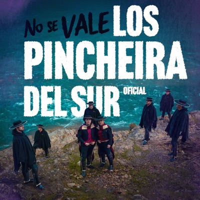 Carátula de No Se Vale