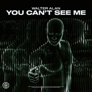 You Can't See Me - Single