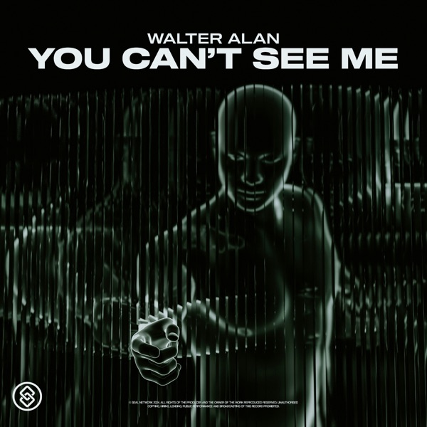 You Can't See Me - Single