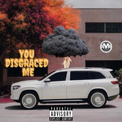 You Disgraced Me - Single