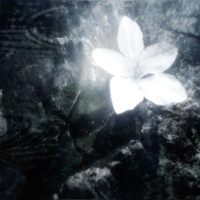 sorrow (feat. creepies) - Single