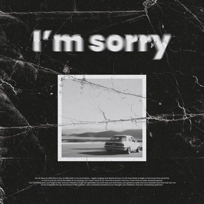 I'm Sorry (feat. Franzy & Lexy) - Single