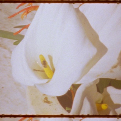 Trompetiko (feat. Manthos Damigos, Kleio & Dimitris Kranidas) - Single