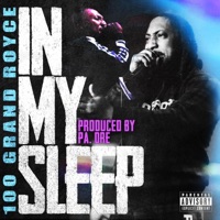 In my sleep (feat. 100grandroyce) - Single - Gully TV & PA. Dre