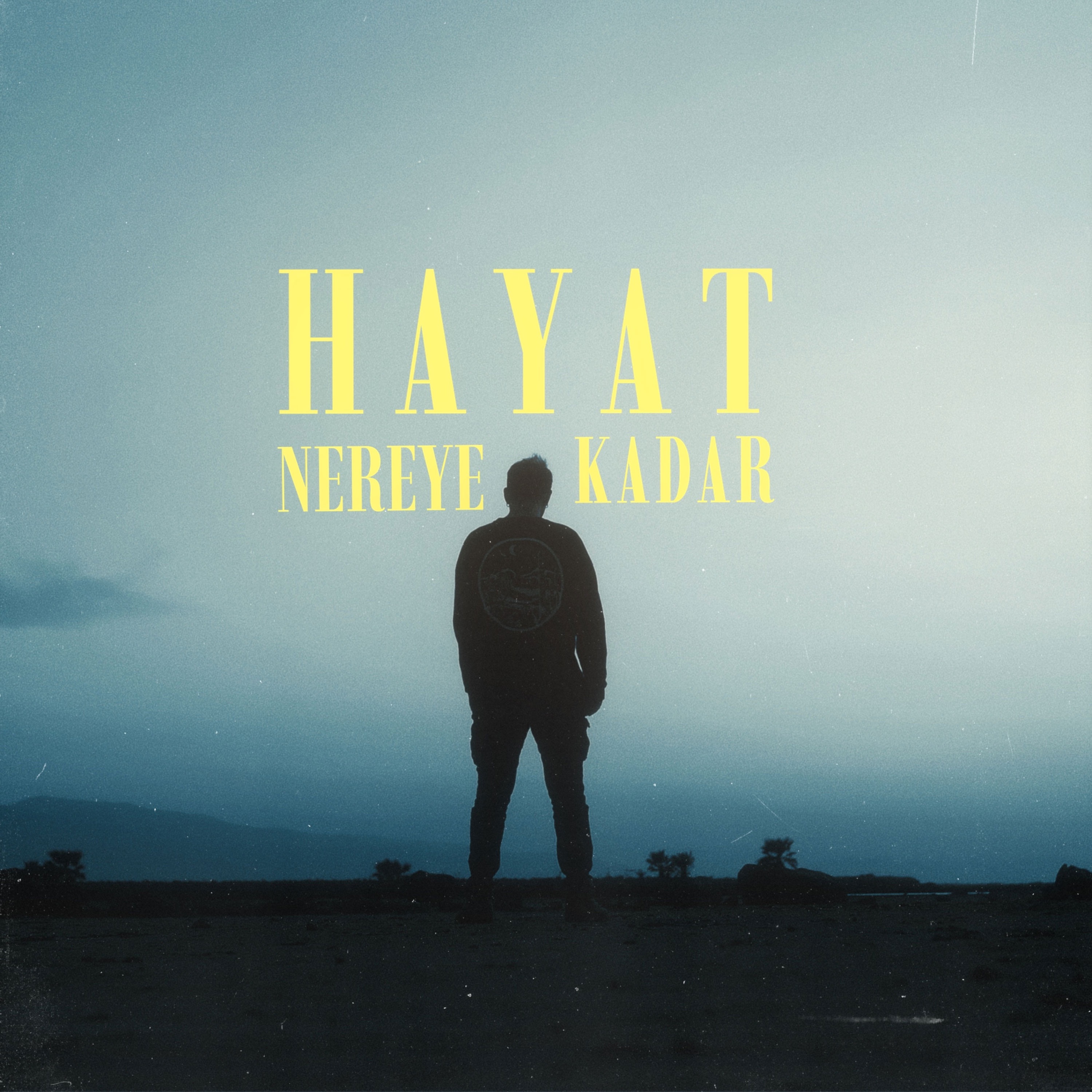 Serhat Erdem - Nereye Kadar Hayat?
