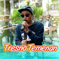 Tresno Temenan (Live Version At Domili Coffee) - Single - Hendra Kumbara & Syalala Orkes Milenial