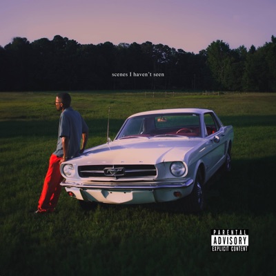 Scenes I Haven't Seen - Single