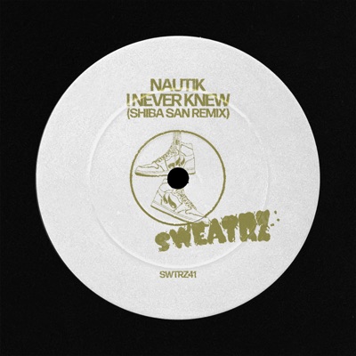 I Never Knew (Shiba San Remix) - Single