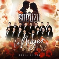 La Mujer De Mi Vida