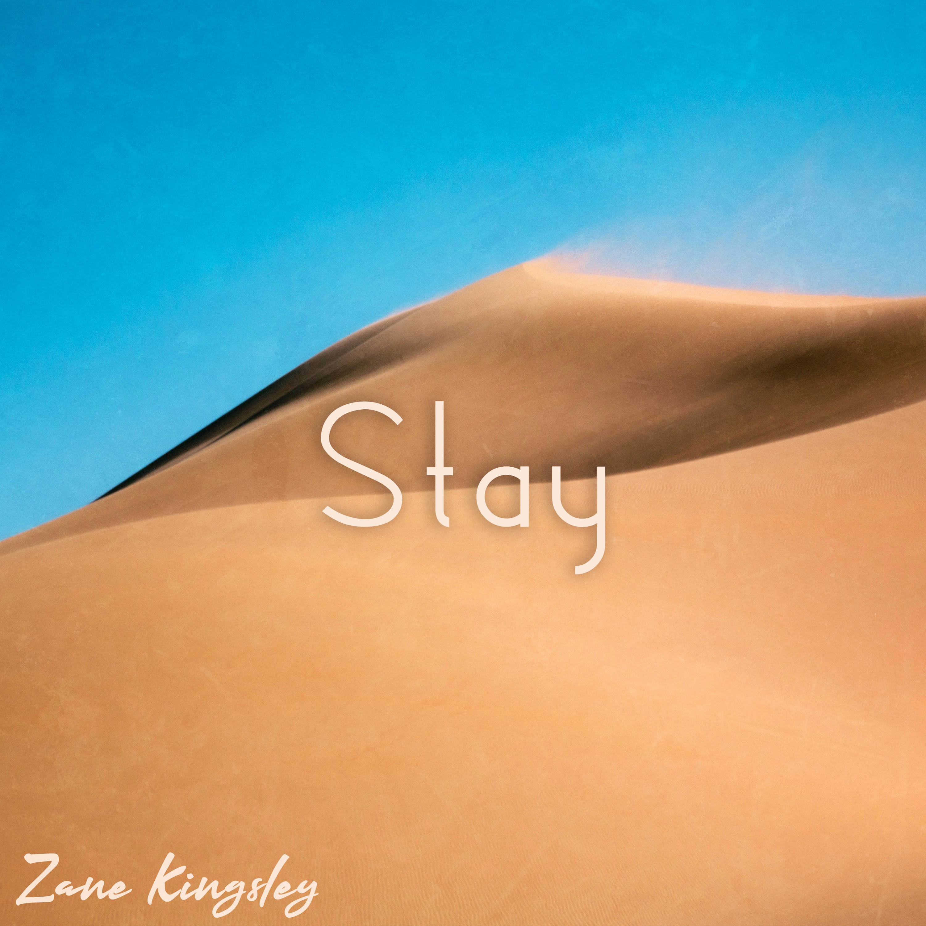 Stay - Single