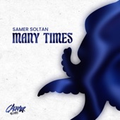 Many Times artwork