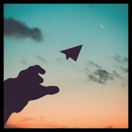 Fliegen Dialogsmukke