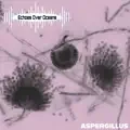 Aspergillus