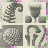 1985 - Single - Cloud Opacity