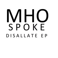 Wood Wings (Radio Edit) - MHO SPOKE
