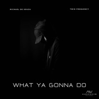 WHAT YA GONNA DO (feat. Twin Frequency) - Single - Michael de Souza