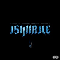 ISHUBILE (feat. Cwepheshe, BABYG!RL ZAE, Curfew630 & Don Macfly) - Single - D!NI